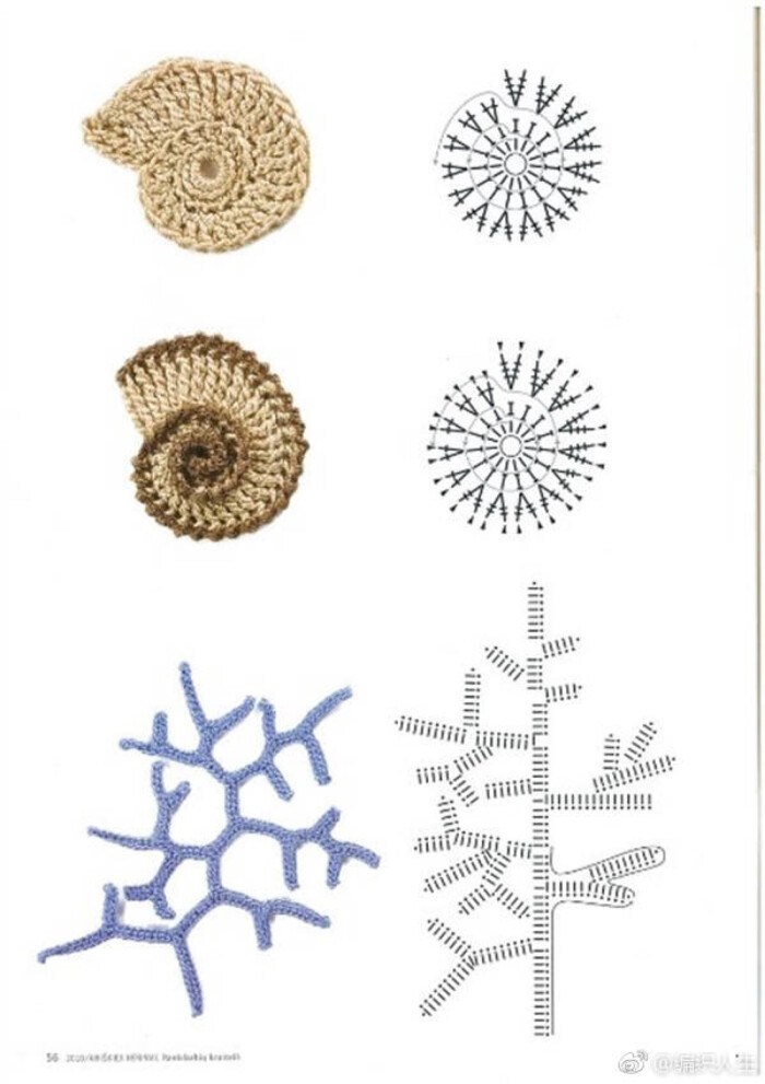 钩织图解海螺贝壳海星花片