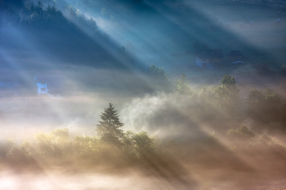早安,阳光穿过林间的晨雾via.marcin sobas