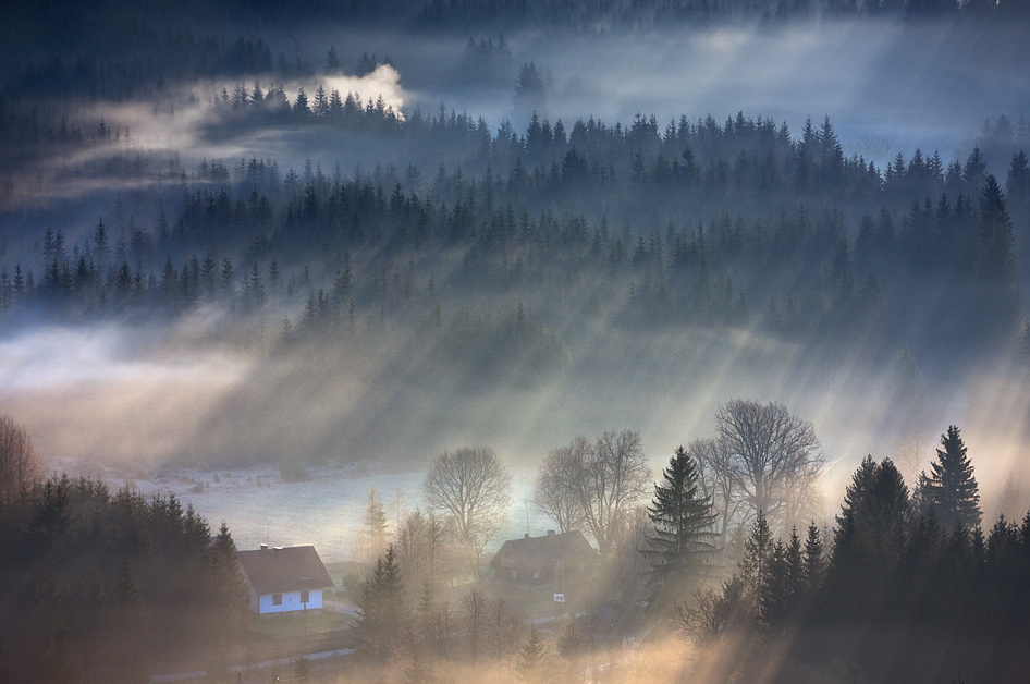 早安,阳光穿过林间的晨雾via.marcin sobas