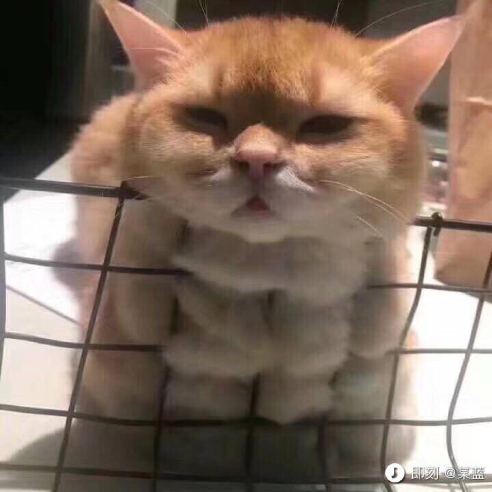 六块腹肌