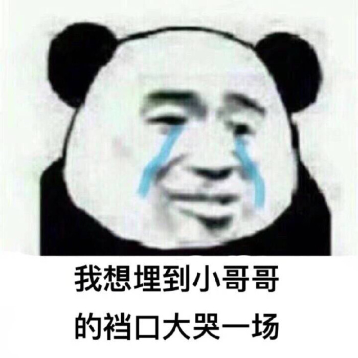 逗逼表情包 微信表情包 斗图