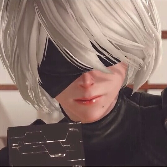 自截头像 2b 9s