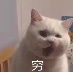 猫咪表情包 禁止二传谢谢