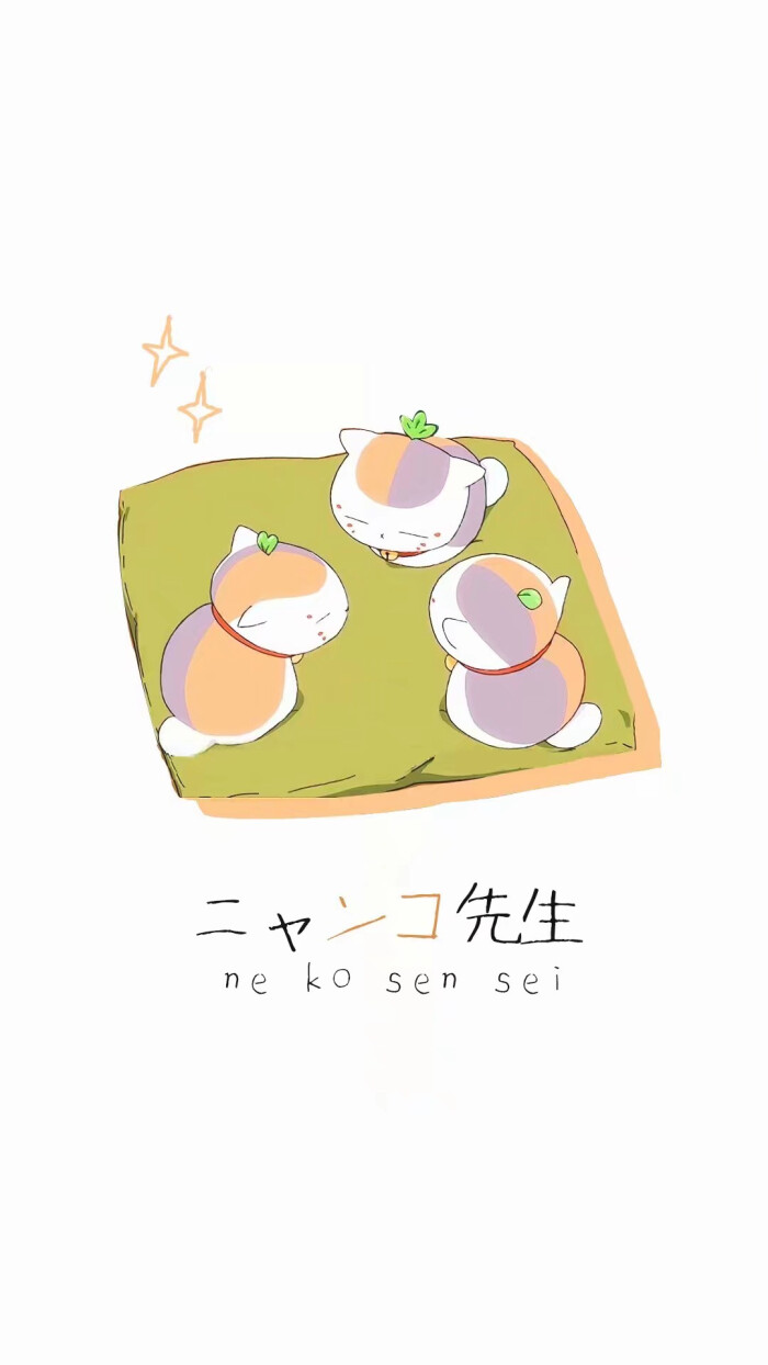 猫咪老师壁纸少女心玉米超可爱的