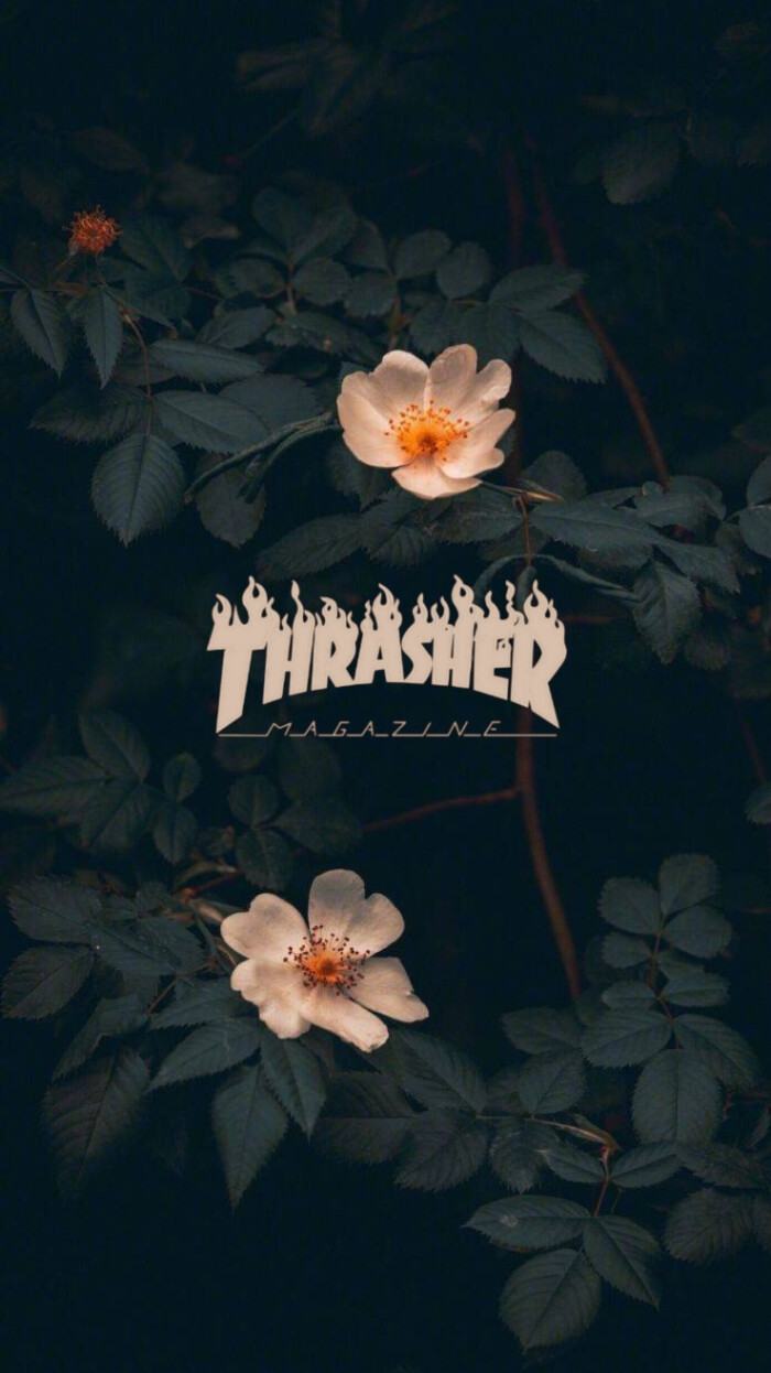 connoisseurs  2018年8月24日 10:15   关注  原创 壁纸 thrasher