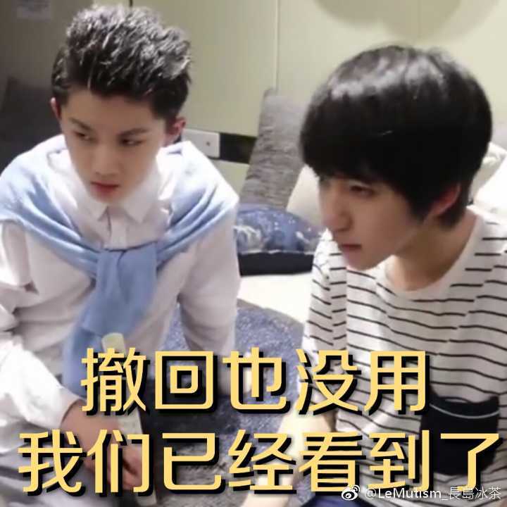 tf家族表情包