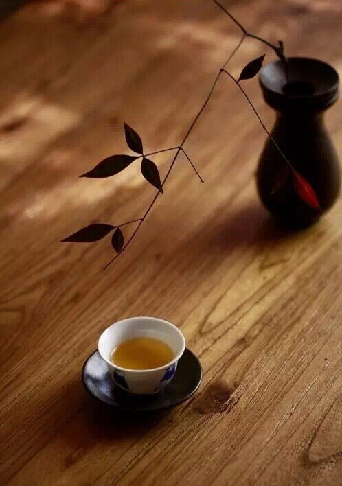 饮下一杯人生的禅茶,在一滴水中,在一朵花间,在婆娑的世界找到最初的