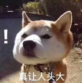 狗狗表情包