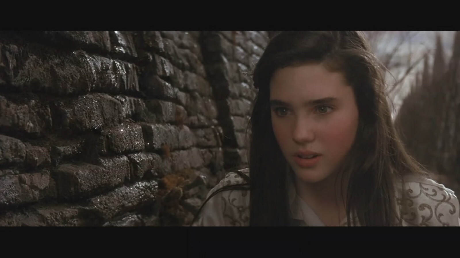 詹妮弗·康纳利(jennifer connelly