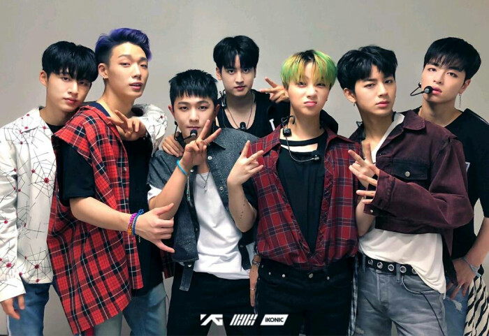 ikon 