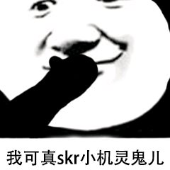 skr表情包