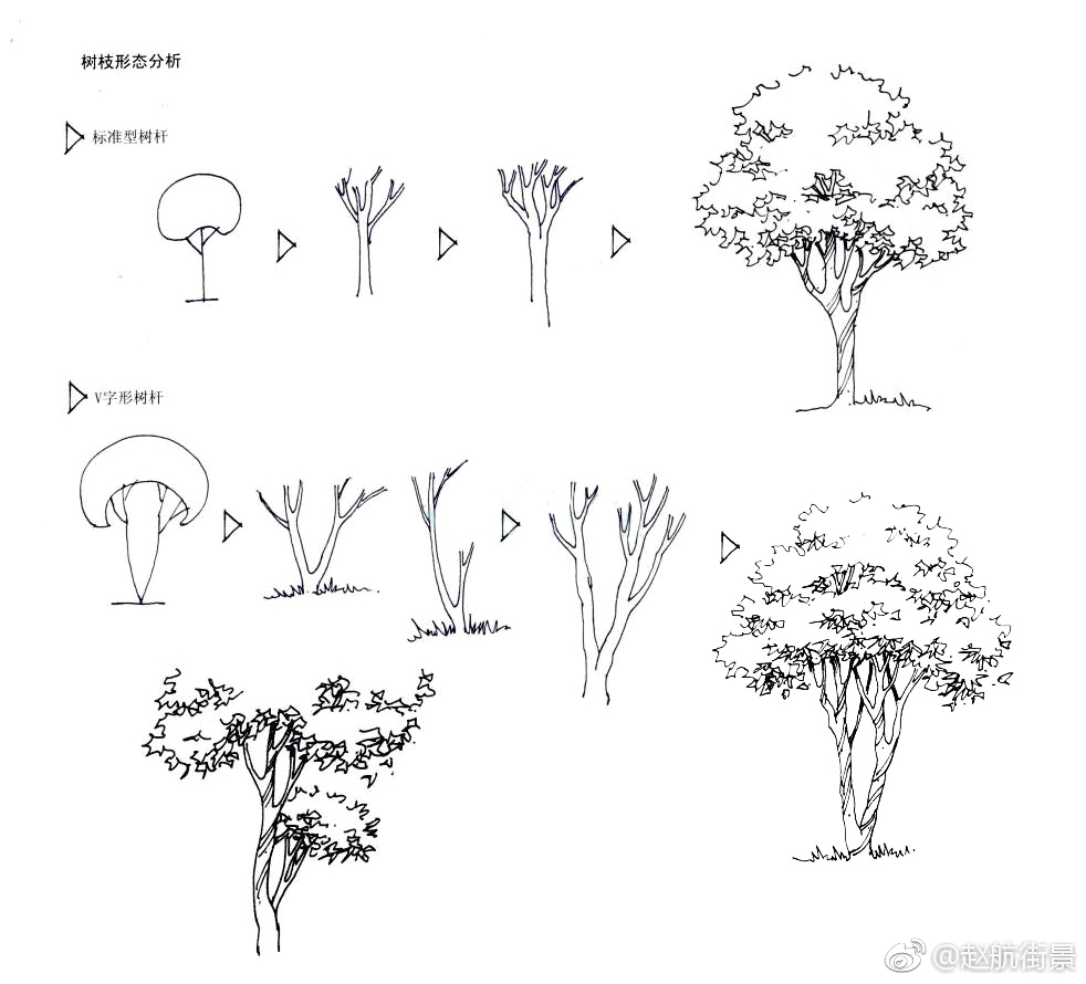 手绘表现中树的画法 (作者: 赵航街景 )