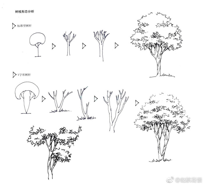 手绘表现中树的画法 (作者: 赵航街景 )