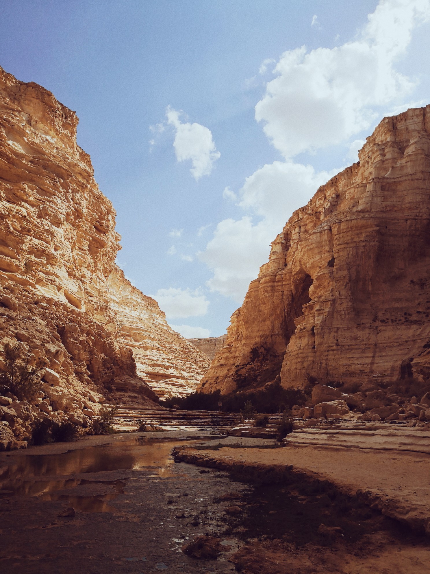 中东旅游 以色列 死海 拉蒙大峡谷