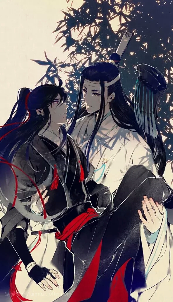 魔道祖师(一次多图) 魏无羡 蓝忘机 晓星尘 金凌