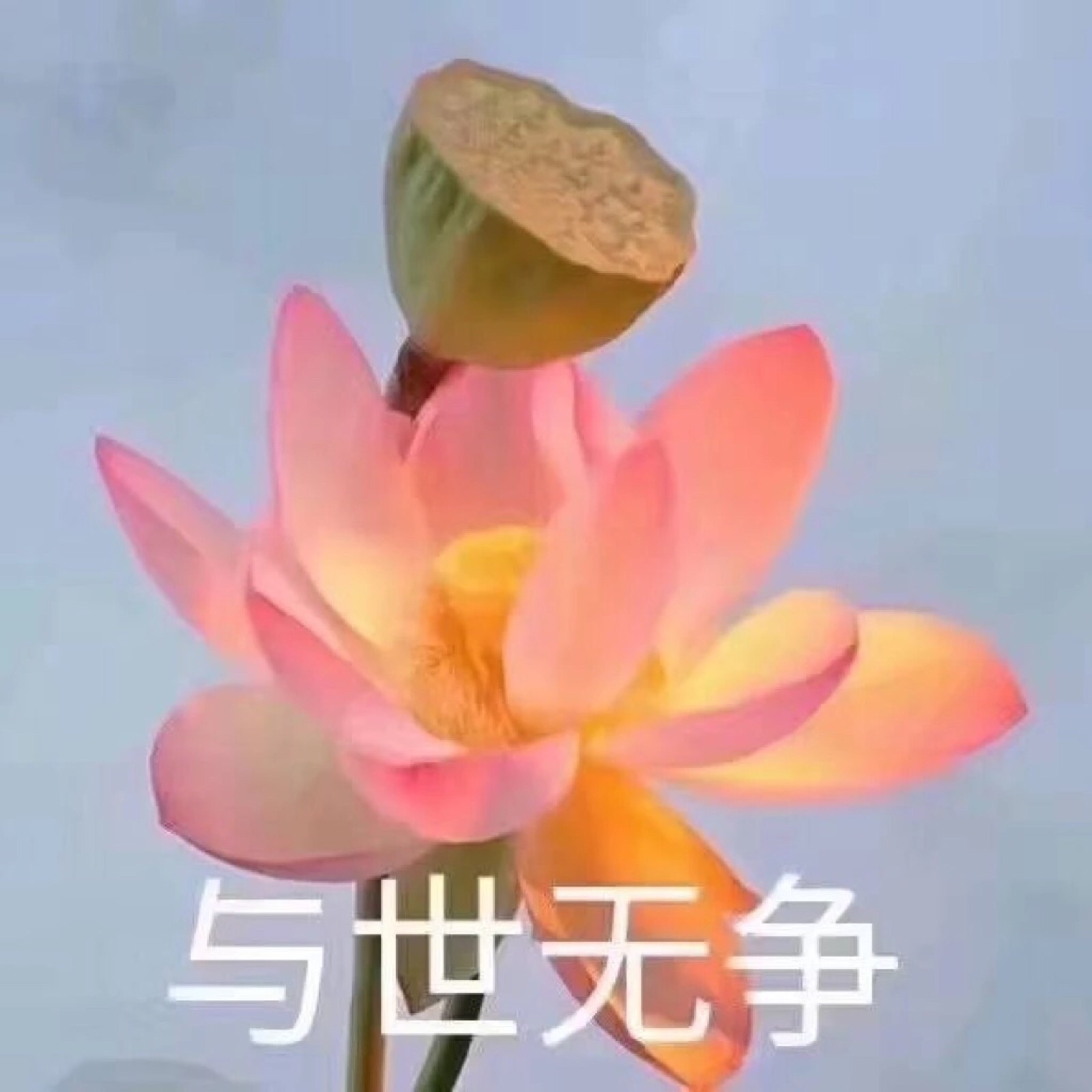 与世无争