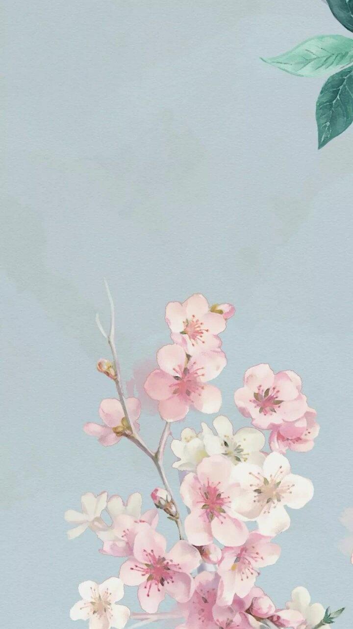 壁纸.聊天背景