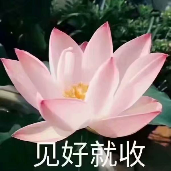 我佛慈悲