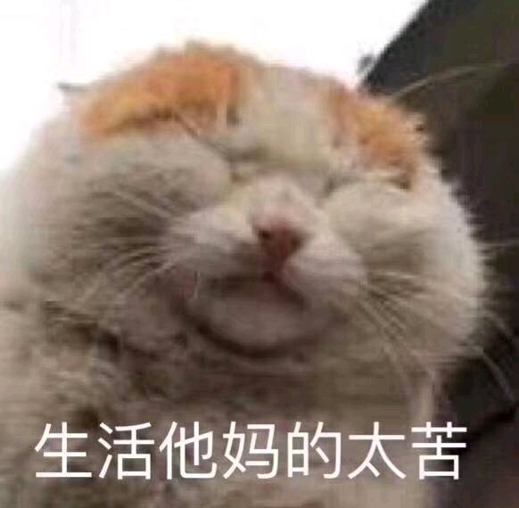 生活他妈的苦