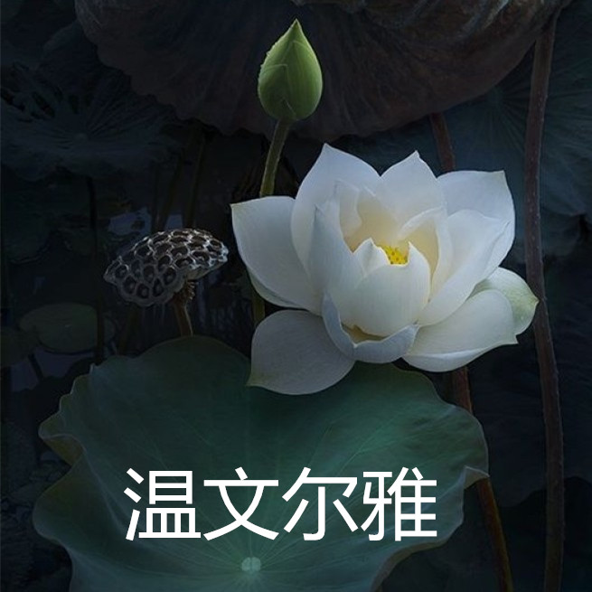 夕阳红头像
