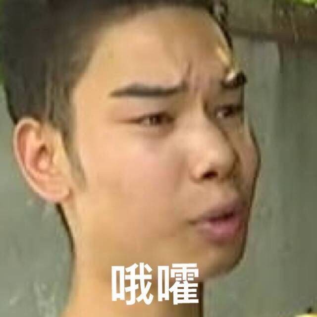 沙雕表情包可爱哈哈哈哈哈哈哈哈哈哈