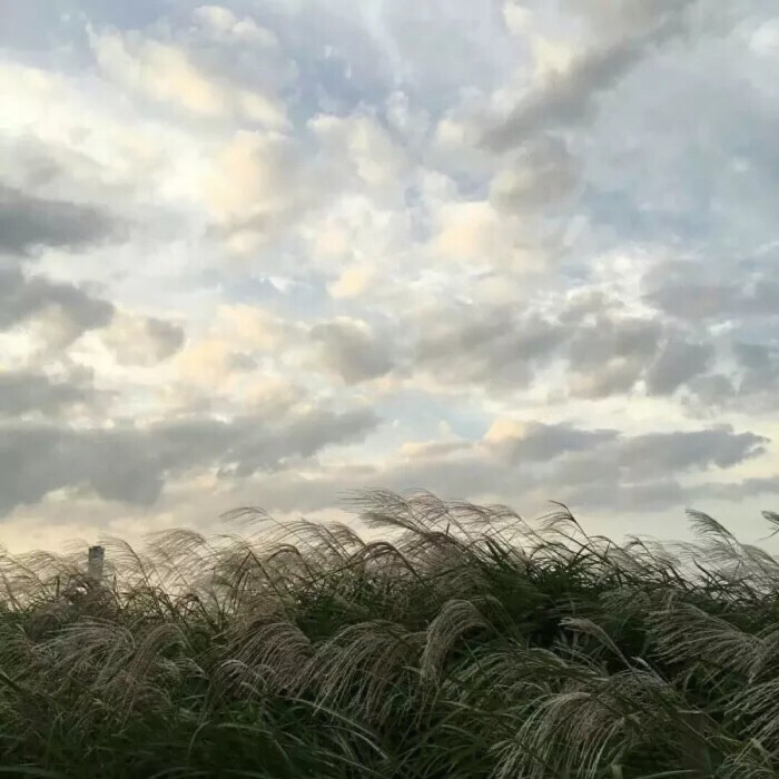 朋友圈背景墙