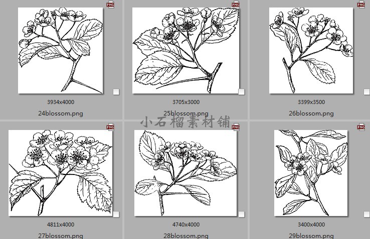 手绘黑白素描植物花卉枝干临摹装饰画图片素材临摹素材24