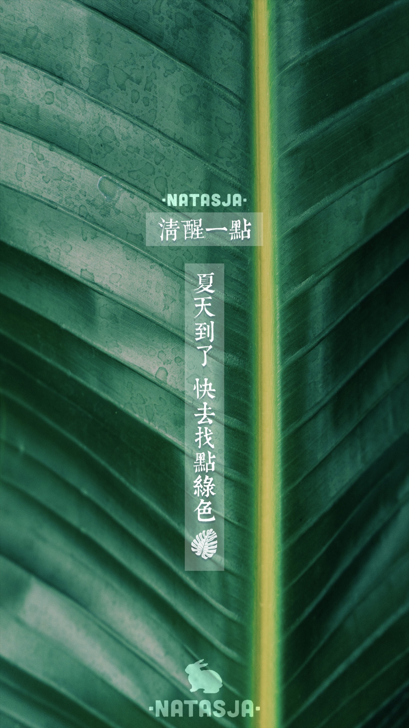 natasja 原创自制壁纸 "清醒一点 夏天到了"系列 原创文案 绿色 植物