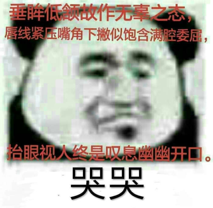 语c十级表情包.