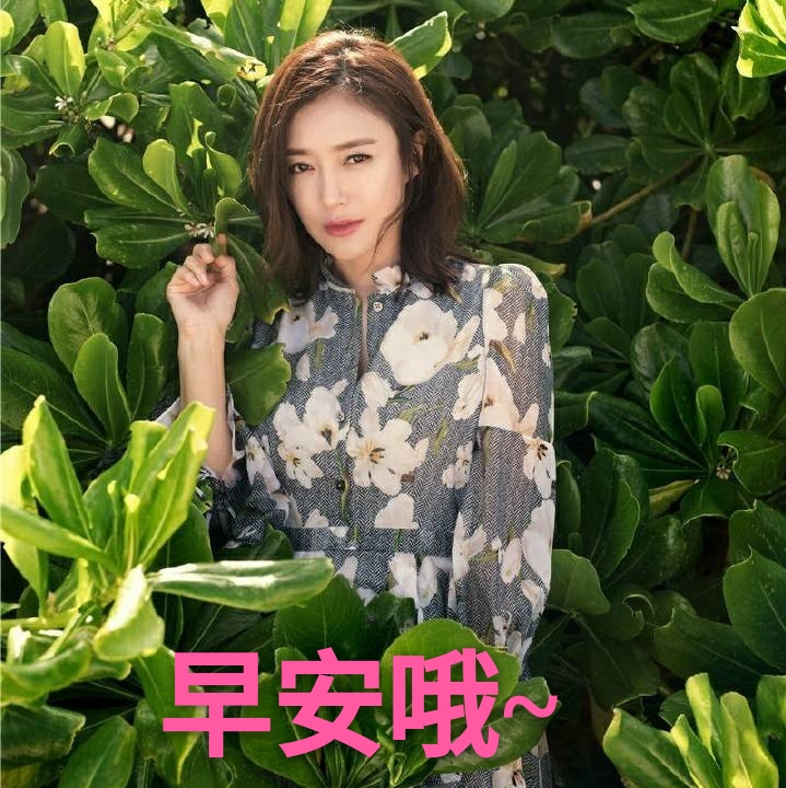 早安哦,今天的早安是秦岚!