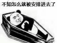 不知怎么就被安排进去了熊猫头棺材系列