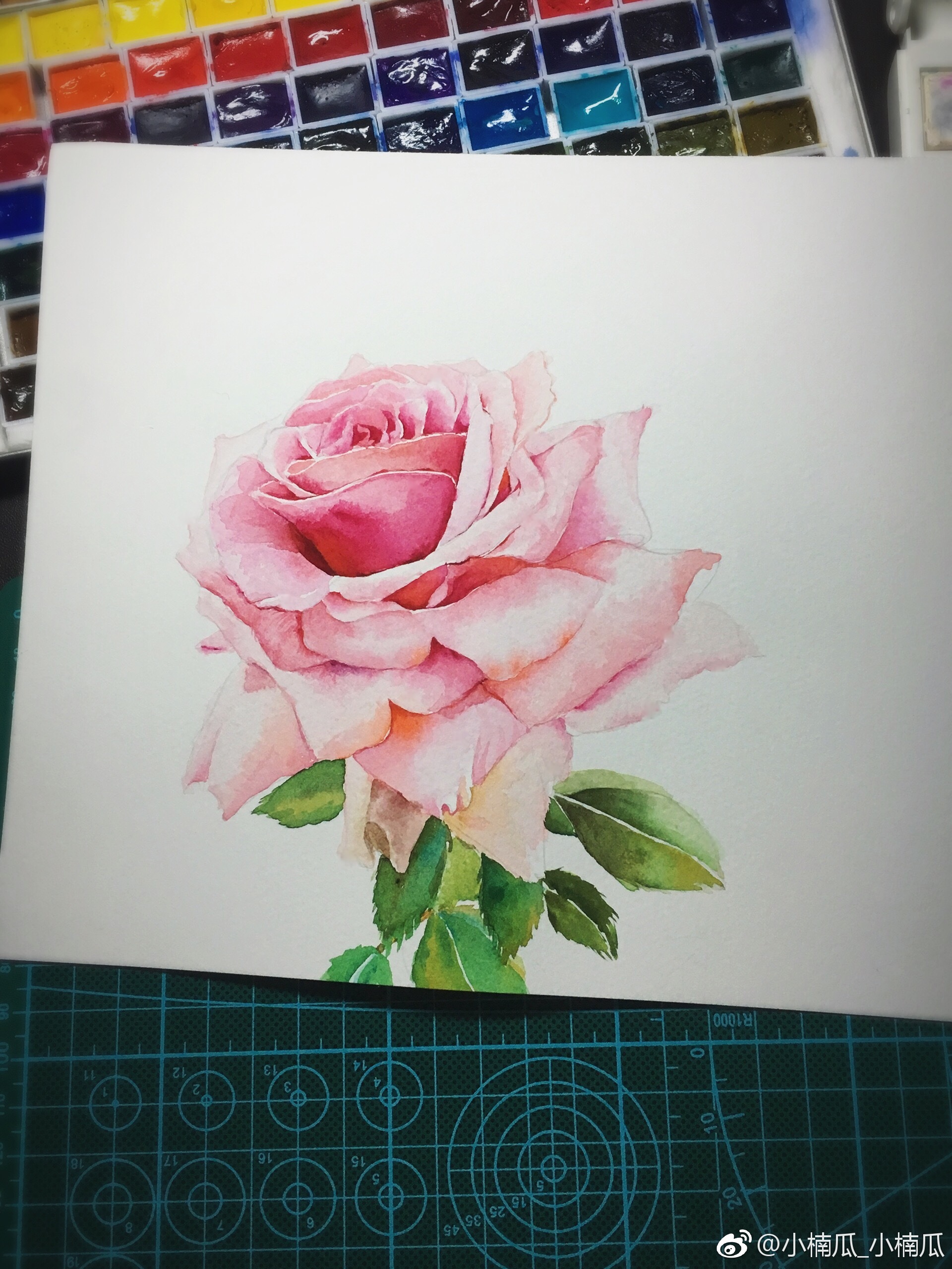 分享一朵花的水彩过程,颜料:mg, 纸:获多福细纹 #水彩画教程#(作者