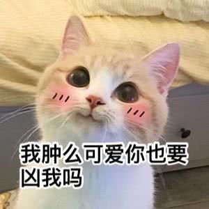 哈哈哈表情包