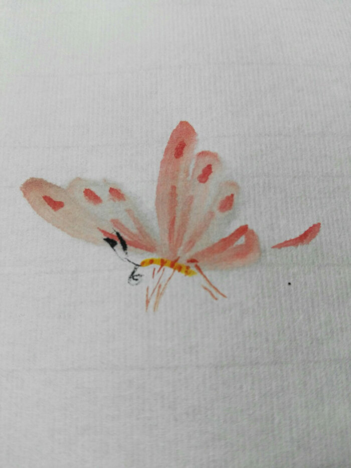 《写意蝴蝶》