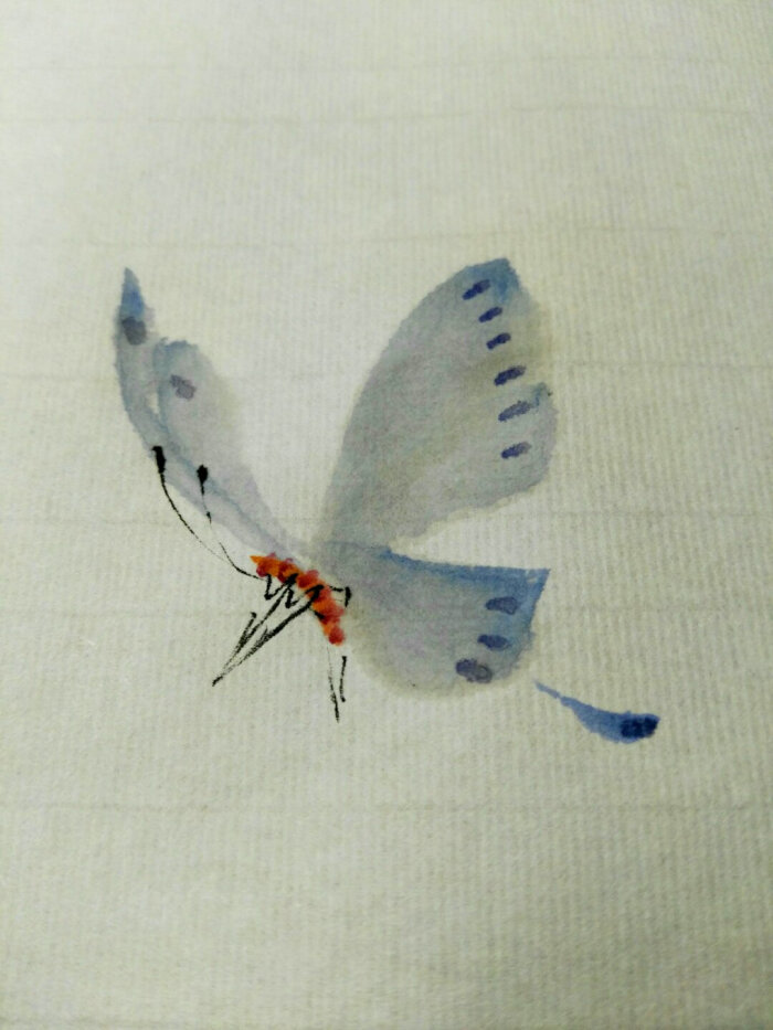 《写意蝴蝶》