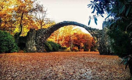你在桥上看风景,看风景的人在远处看你.