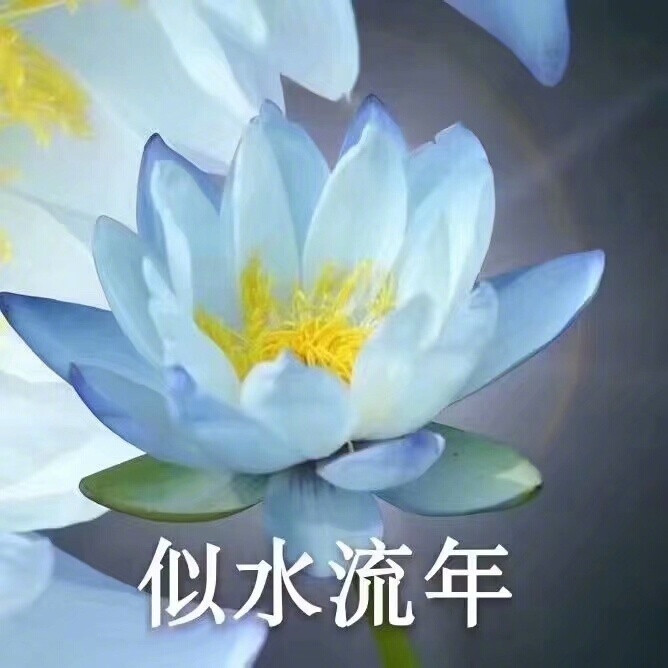 老年人表情包 i 这些花儿送给自己,放松心情,一切随缘