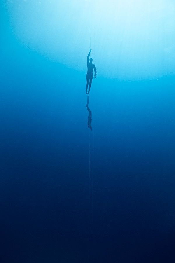 深海恐惧症 海洋 海水