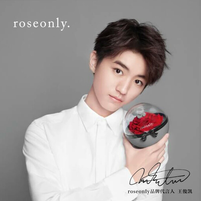 王俊凯代言roseonly