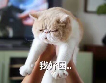 猫表情包可爱 困