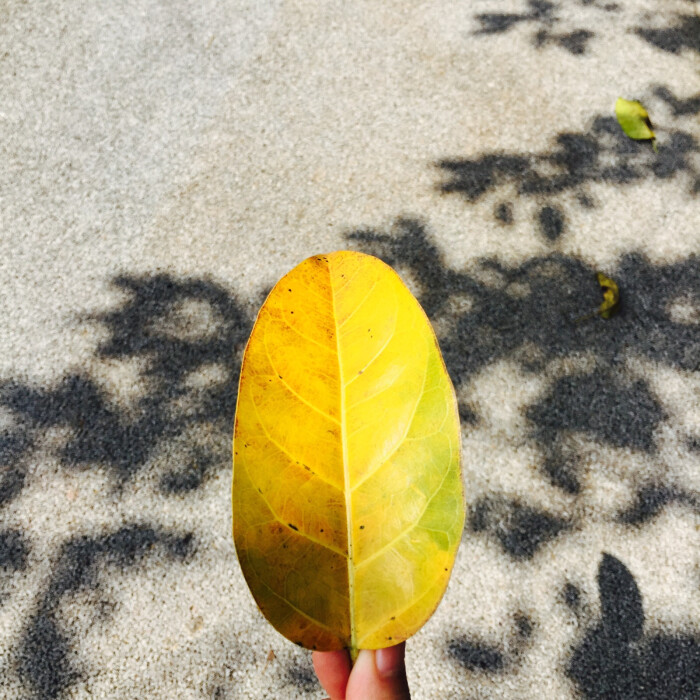 眼里有光芒,心底有希望