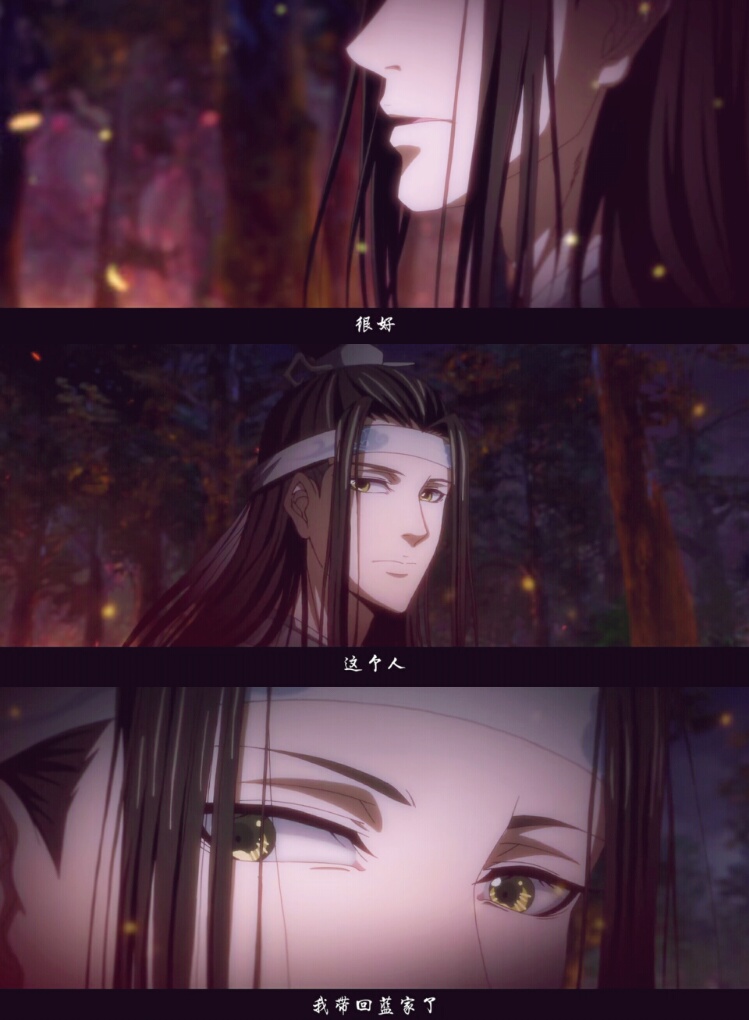 魔道祖师 动漫 魏无羡 蓝忘机