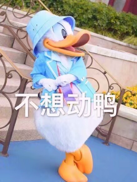 沙雕表情包鸭.