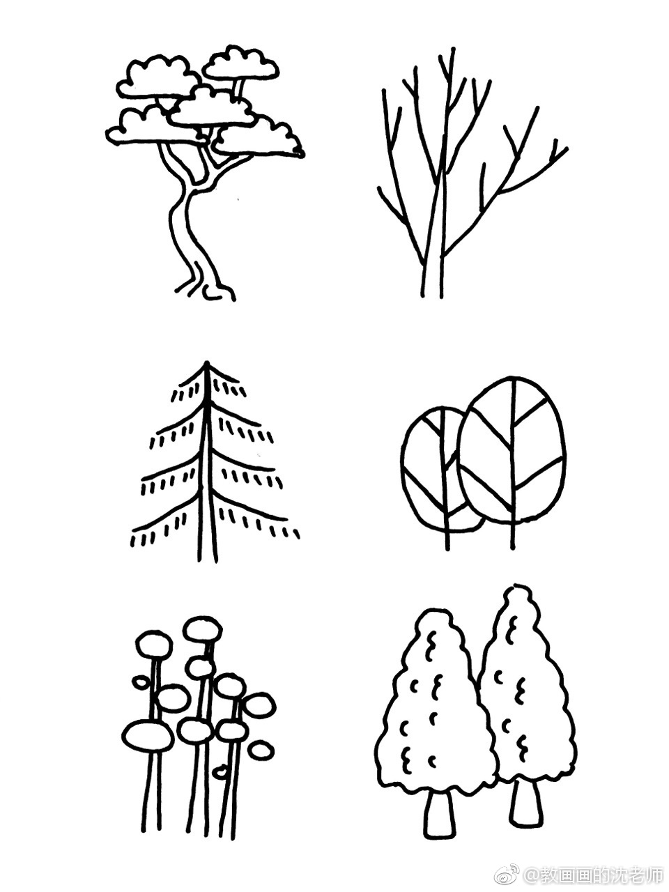 植物树木原创简笔画手绘手帐素材～现在植物很受欢迎哦～ (作者: 教