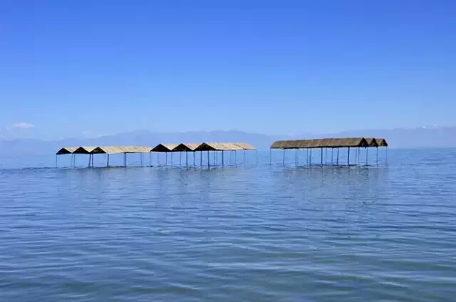 新疆博斯腾湖南岸西,白鹭洲景区