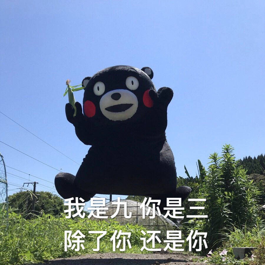 熊本熊土味情话表情包.