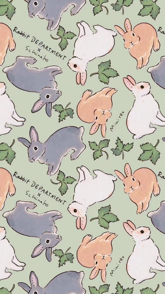 兔叽壁纸