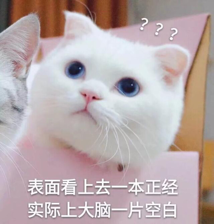 也要记得提醒我一下哦.