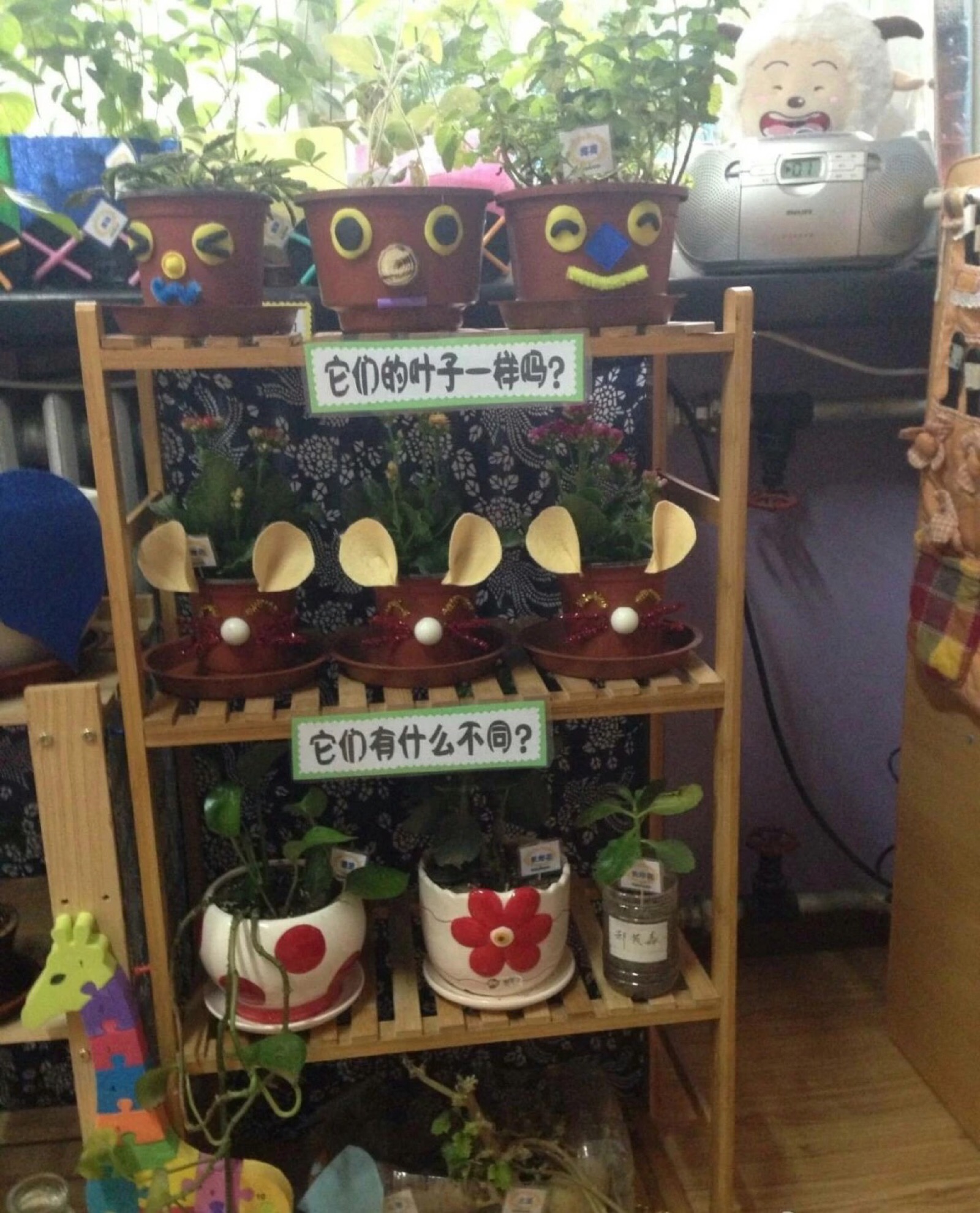 自然角 