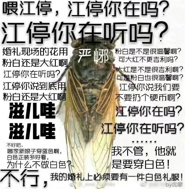 破云表情包